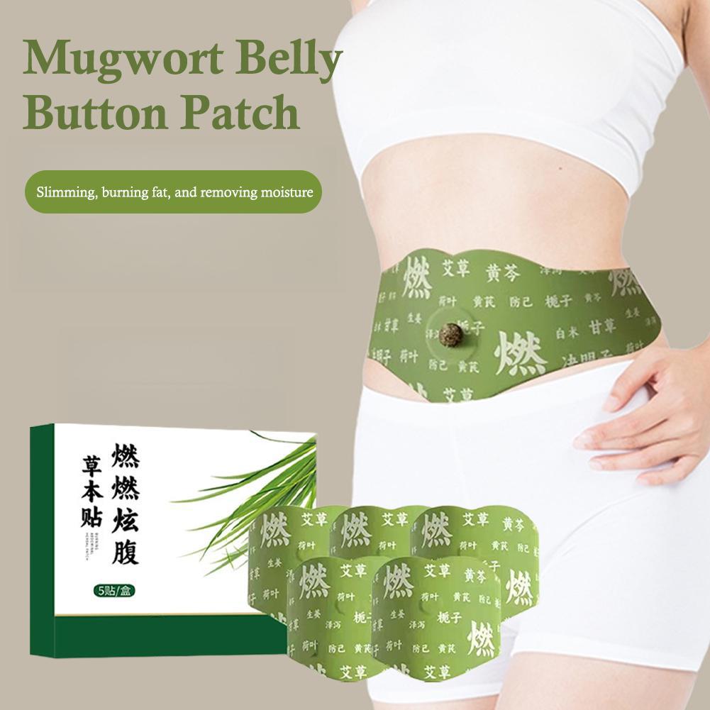 Beifuß Bauchnabel Patch Kräute – Herbal Zone Bewertung und Preis